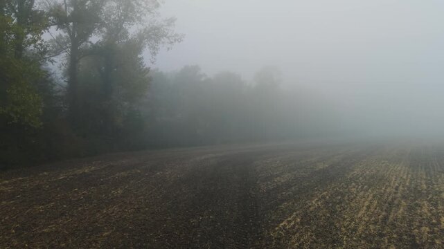 Dark foggy field fading into thick mist creating eerie demonic mystical mood. Magical foggy morning, Halloween. Haunted farmland disappearing within dense haze forming mysterious spiritual atmosphere