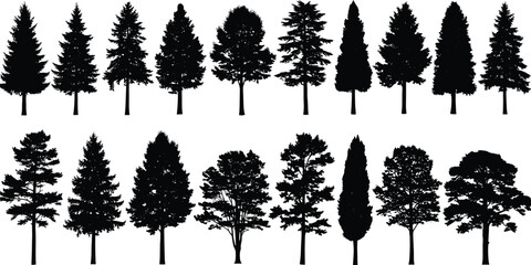 Pine tree and fir forest silhouette set, coniferous spruce collection, nature landscape element, isolated black shape, woodland, cad drawing flat vector illustration © MstJahanara