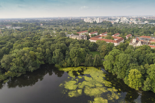 Aerial view of the Treptower Park's verdant canopy meeting the dark, algae-streaked water, buildings peeking through the trees, Treptower Park, Berlin, Germany.