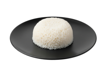 Perfect Portion of Steamed White Rice on Plate