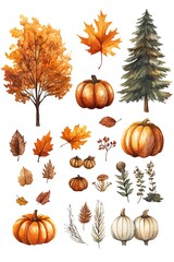 Autumn watercolor trees, pumpkins, leaves Fall harvest illustration
