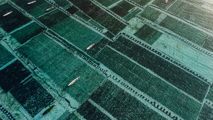 Drone view of seaweed farm at Lembongan island in Indonesia © artifirsov