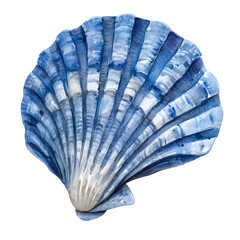 Blue Watercolor Seashell Illustration Isolated on Transparent Background