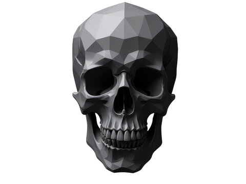 Image of a 3D model skull with a lower jaw, rendered in low-polygon style