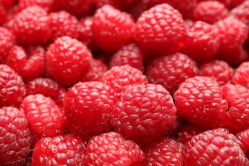 Fresh ripe raspberries as background, closeup view