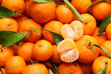 Many fresh ripe tangerines with green leaves and water drops as background, top view