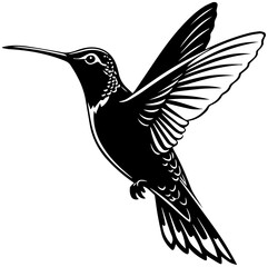 Obraz premium Hummingbird Flying – Black and White Line Drawing