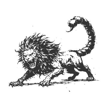 Mythical manticore creature with lion body and scorpion tail, black and white hand drawn line art vector illustration
