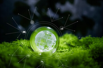 Renewable energy concept Earth Day or environment protection Hands protect forests that grow on the ground and help save the world.