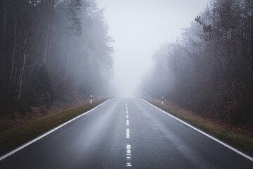 Wet forest road in dense fog during daytime, dark cold and moody atmosphere