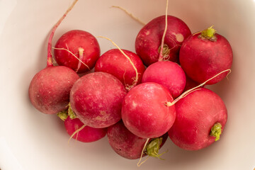 Fresh red radish, macro, top view.
