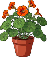 zestful bloom potted garden delight with vibrant petals and lush foliage, vector isolated on transparent background