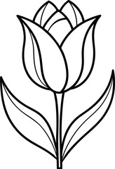 Obraz premium Vector line artwork of a tulip flower on a white background.