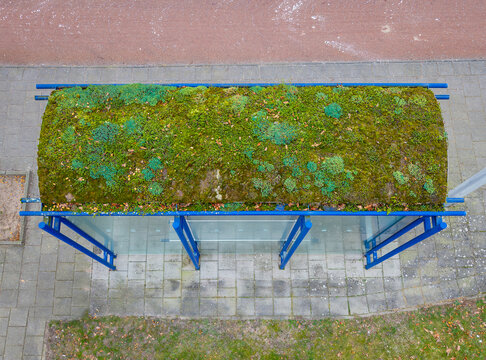Sustainable Urban Design, Aerial View of a Bus Stop with a Living Green Roof