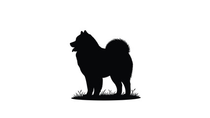 Samoyed or Chow Chow Dog Silhouette Standing on Grass Isolated on White