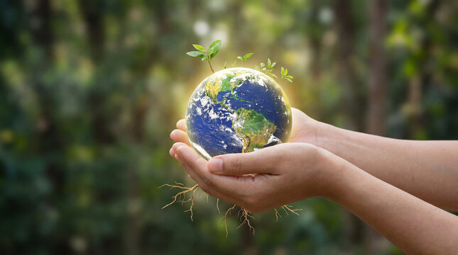 A person holding a blue and green globe in their hands represents a global ecology concept for world environment protection to save the planet and care for nature - Powered by Adobe
