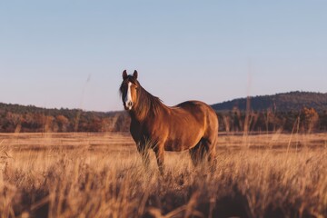 Majestic brown horse in a tranquil meadow with distant trees on the horizon