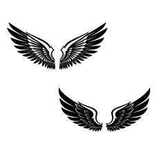 Obraz premium Black and white angel wings illustration