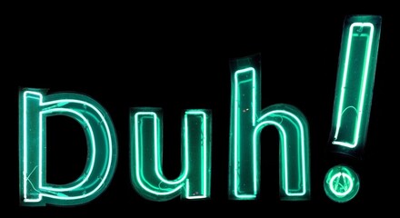 Duh! neon lights