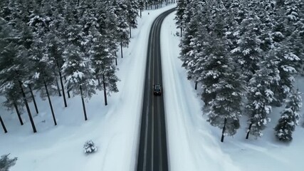 Aerial view of a black car traveling on a paved road surrounded by snow-covered pine trees. Captures a serene winter journey atmosphere, ideal for travel vlogs and nature documentaries.