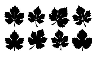 Naklejka premium Minimal grape leaf silhouette icon set flat vector illustration on white