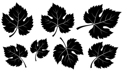 Decorative grape vine leaf silhouette vector art isolated on white © Liton