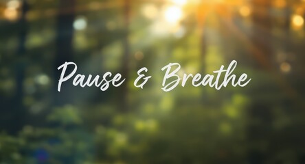 Calm Nature Scene with Sunlight Filtering Through Trees and Inspirational Pause and Breathe Text