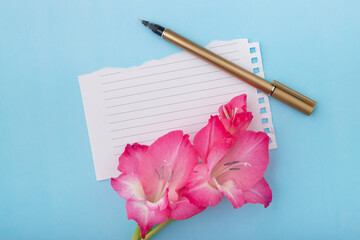 Flat lay pink gladiolus flower with pen and blank lined white ripped torn sheet of notebook paper on vibrant blue surface background