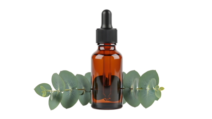 Amber Essential Oil Dropper Bottle with Eucalyptus Isolated on transparent background