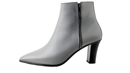 fashionable women shoe