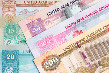 United Arab Emirates dirham a business background