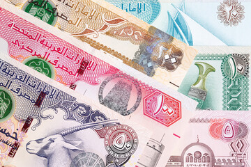 United Arab Emirates dirham a business background