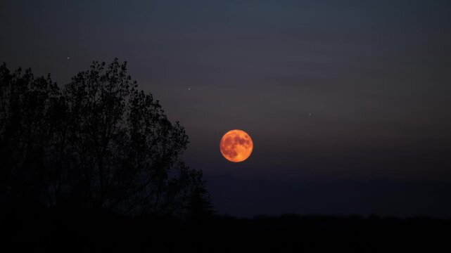 Full Moon with stars, planets and rural countryside tree silhouettes. 