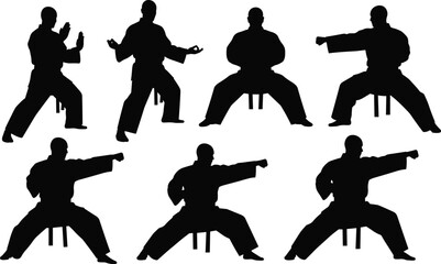Martial arts silhouette set, black vector poses, defensive and striking stances, traditional combat technique, discipline and movement © Fahim Creative