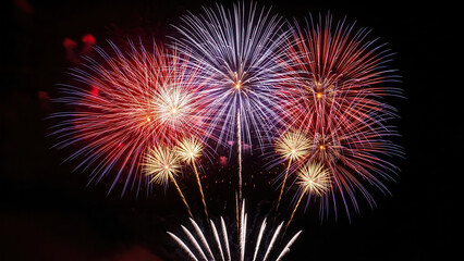 Obraz premium Vibrant fireworks display against dark night sky