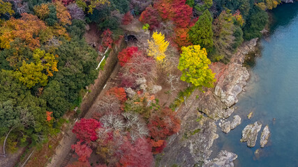 Nov 24 2025 Fall Trees At Arashiyama Rankyo Gorge Kyoto Japan