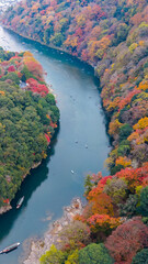 Nov 24 2025 Fall Trees At Arashiyama Rankyo Gorge Kyoto Japan