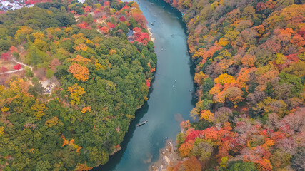 Nov 24 2025 Fall Trees At Arashiyama Rankyo Gorge Kyoto Japan