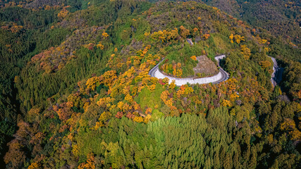 Nov 24 2025 Serene Takagamine Kaido Landscape in Kyoto, Japan