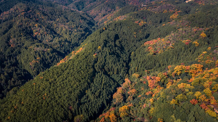 Nov 24 2025 Serene Takagamine Kaido Landscape in Kyoto, Japan