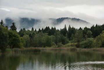A picturesque view of a tranquil lake surrounded by dense pine forest and high mountains shrouded in thick white fog. The moody and atmospheric scenery on an overcast day, with trees reflected in the 