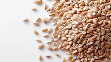 top view of wheat and barley grains heap, dry cereal seeds, organic healthy food concept, white background