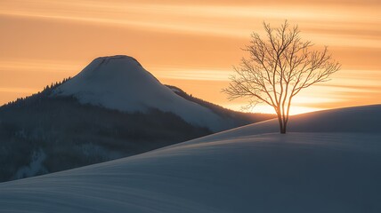 Lone bare tree on snowy slope against orange sunset and mountain winter