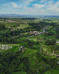 Aerial View Of Terraced Rice Fields Under Clear Blue Sky, Winding Contours Of Emerald Paddies Cascading Down