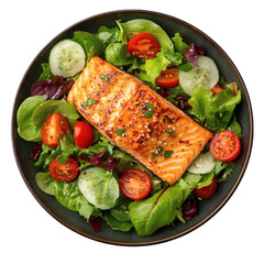 Grilled Salmon Salad Bowl Top View Isolated on Transparent Background
