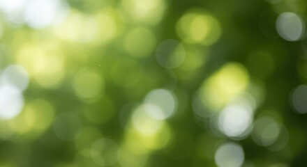 Obraz premium Blurred, gentle background of shimmering sunlight filtering through green foliage, creating a smooth, natural bokeh effect and abstract texture ,blank ,wallpaper ,warm