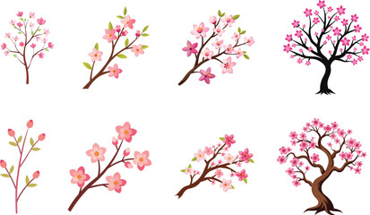 Fototapeta premium Beautiful pink cherry blossom tree branches with blooming sakura flowers and green leaves represent the grace of Japanese spring nature in a floral vector art design