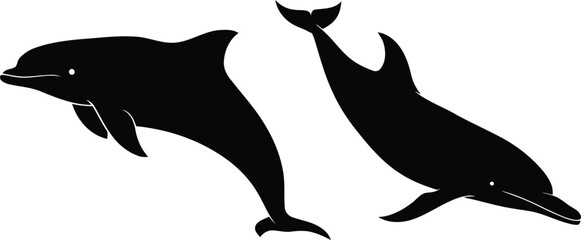 Black Dolphins Swimming on White Background © Danyal