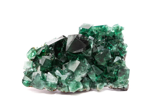 Green fluorite specimen, studio photograph