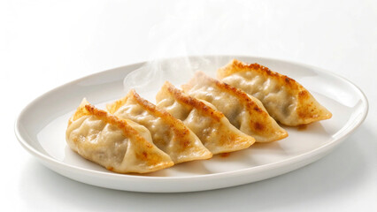crispy fried dumplings